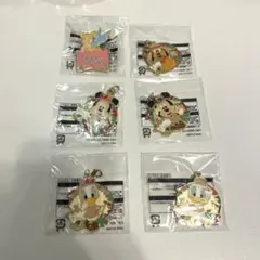 東京ディズニーランド ジャングルカーニバル チャーム・ピンバッジセット