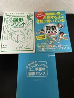 図形プリント陰山 英男 平面の図形センス 算数book中学受験3冊セット