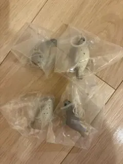 アザラシ　シロ　ゴマ