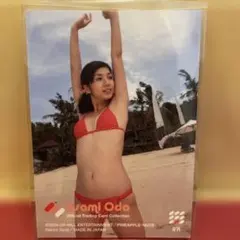 安田美沙子 2004 さくら堂 トレカ アイドル グラビア カード 水着 39