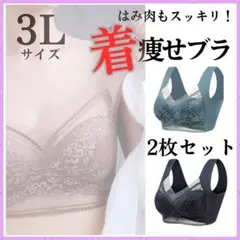 美胸 2枚セットB 3L 胸を小さく見せる 着痩せ シームレス 　2901