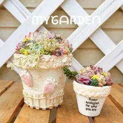 そのまま飾れる多肉植物★リメイク鉢 多肉寄せ植え★チビ鉢と2点セット♪