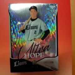 Item thumbnail for item 3980872a-e2a8-4f37-b44b-4b54d37fbbfc