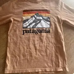 patagonia ロングTシャツセット