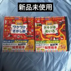 もっとあそべる!はじめてずかん1000 さがし絵・めいろ 2冊セット ※ペン別売