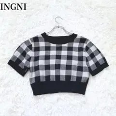 イング INGNI 半袖ニット チェック柄 クロップド丈 モノトーン おしゃれのサムネイル