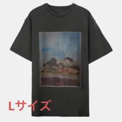 asa様 リクエスト 2点 まとめ商品