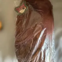 【2025年新商品】ズートピア　ニック・ワイルド　マルチポシェット　チャーム付き