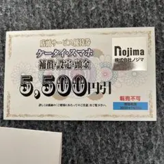 ノジマ 優待 1枚　店頭サービス