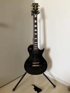 2026年最新】fernandes サスティナーの人気アイテム - メルカリ