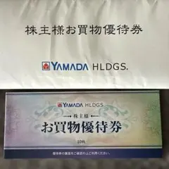 【匿名配送】ヤマダ電機 株主優待券500円× 10枚￼のサムネイル