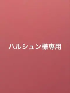 専用ページ