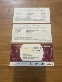 【即日発送】東急スノーリゾート　リフト１日券3枚セット　ニセコグランヒラフ他