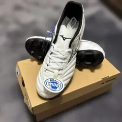 Item thumbnail for item 332dead8-d78d-4241-bca8-917553f0828a