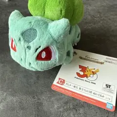 一番くじ ポケモン C賞 カントー地方 30周年 ぬいぐるみ ヒトカゲ