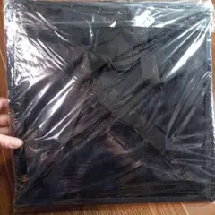 Item thumbnail for item d23aa34d-ece3-48bd-830f-135118e393d7