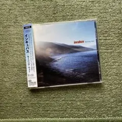 Incubus モーニング・ヴュー CD