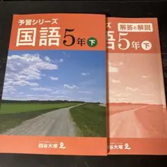 2025年最新】四谷大塚予習シリーズ 5年の人気アイテム - メルカリ
