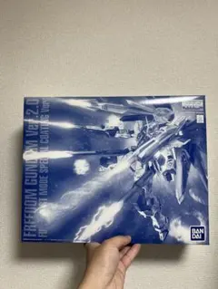 2026年最新】mg ver． ． スペシャルコーティングver フリーダム