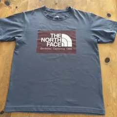 THE NORTH FACE Tシャツ グレー Mのサムネイル
