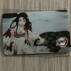 鬼滅の刃 竈門炭治郎 竈門禰豆子(鬼) 立志編