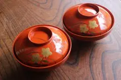 2026年最新】輪島塗 椀 蒔絵の人気アイテム - メルカリ