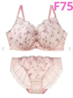 tutu anna コロレブーケブラ&ショーツ F75 L ピンク