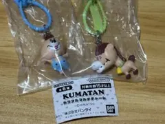KUMATAN カラフルマルチチャーム 2種セット