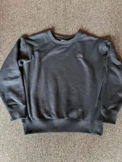 THE NORTH FACE Heather Sweat Crew スウェットのサムネイル