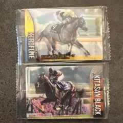サラブレッドホースコレクションカード　クロフネ キタサンブラック