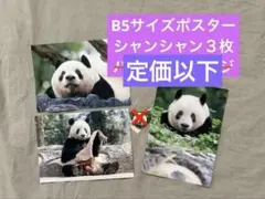 2026年最新】シャンシャン バッジの人気アイテム - メルカリ