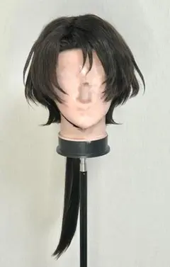 よっしー様専用　ウィッグご確認ページ