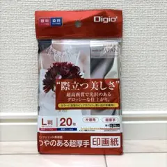 【新品】Digio2 写真用紙 L判 20枚 超厚手 光沢 JPSK2-L-20