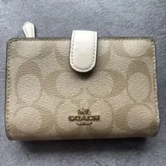 Item thumbnail for item e630e7dc-c465-4801-a606-eff7f8330147