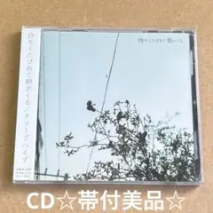 貴重【未使用2011年ツアーTシャツ】クリープハイプ『待ちくたびれて朝がくる』 貴重【未使用2011年ツアーTシャツ】クリープハイプ『待ち