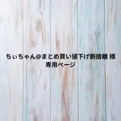 ちぃちゃん@まとめ買い値下げ断捨離 様専用ページ