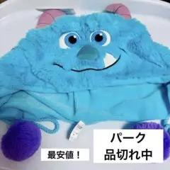 2026年最新】サリーファンキャップの人気アイテム - メルカリ