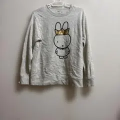 Item thumbnail for item c03c4181-d7ab-43b4-a6fb-6743636bcf0a