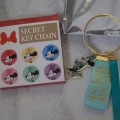 ディズニーストア シークレットキーチェーン ミニー