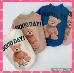 Item thumbnail for item f89b2e1a-fc8a-4dae-8ee8-f338aa6de784