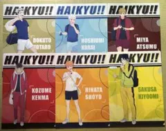 公*o様 ハイキュー‼︎ マツキヨココカラ クリアファイル 6種セット