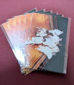 NCTdream6thミニアルバム　ポストカード