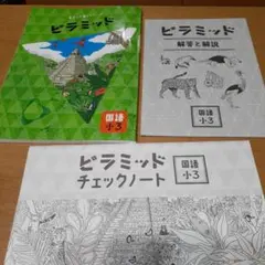 最新版】 新品 ピラミッド問題集 社会 小6【解答・チェックノート付