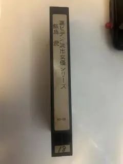 飯島愛主演