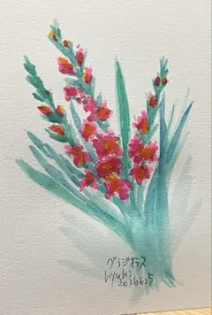 【　グラジオラス　】水彩画 ポストカード　ハガキサイズ　原画　一点もののサムネイル