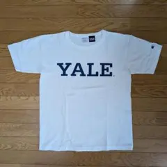 チャンピオンT1011 カレッジ Tシャツ YALE【M】USA製