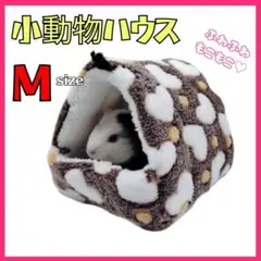 Item thumbnail for item ad4e30ec-2eb1-4dd5-81c8-e6ddcd8ba7d5