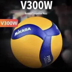 バレーボール5号球