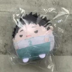 ハイキュー!! ふわコロりん 松川一静 D賞 - メルカリ