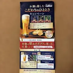 Calbee 堅あげポテト キャンペーン 応募用紙のみ　16枚のサムネイル